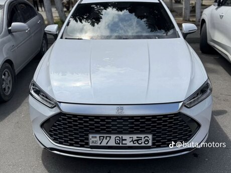 BYD Qin Plus, 2024 il