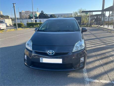 Toyota Prius, 2010 icarəsi