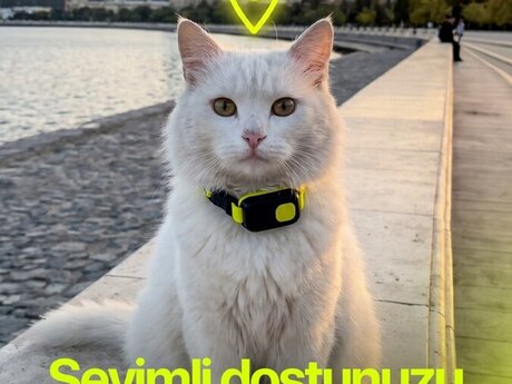 GPS izləmə cihazı