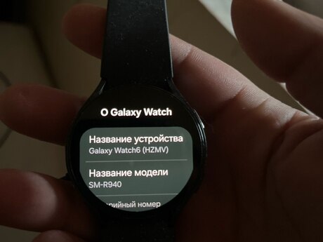 Samsung Galaxy Watch 6 Graphite 44mm