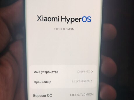 Xiaomi 12X Black 256GB/8GB