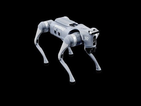 Unitree GO2 robot Unitree GO2 robot