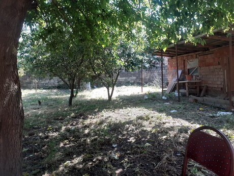 3.8 sot torpaq sahəsi, Lənkəran r.