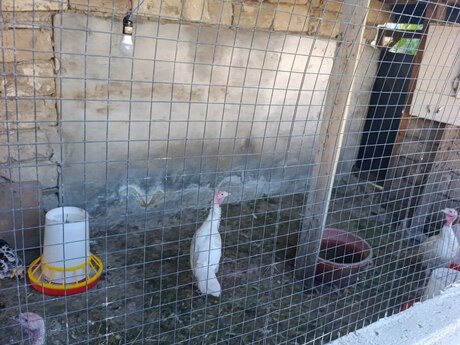 Yeni Suraxanıda 4 otaqlı həyət evi satılır, 110 m², 132 000 AZN, şəkil 3 / 12