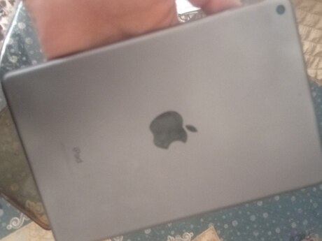 Apple iPad Mini 5