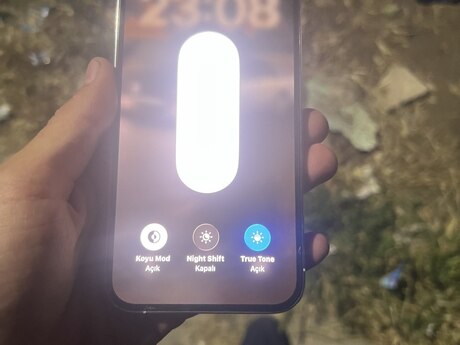 Apple iPhone 12 Pro Max Silver 128GB/6GB