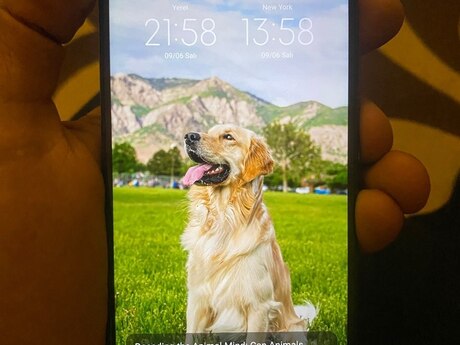 Xiaomi Mi 8 Lite Midnight Black 64GB/4GB
