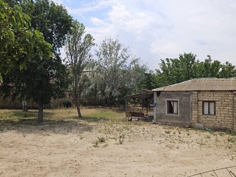 12.8 sot torpaq sahəsi, Novxanı qəs.