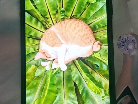Xiaomi Redmi Note 12 (4G) Mint Green 128GB/8GB