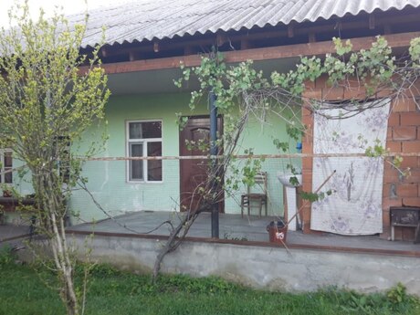 Həyət evi, Zaqatala ş.