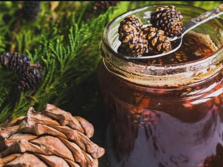 Şam Qozası Bəhməzi Şam Qozası Bəhməzi