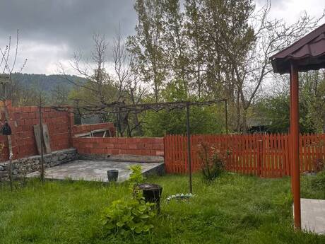 Həyət evi kirayə verilir, Zaqatala r.