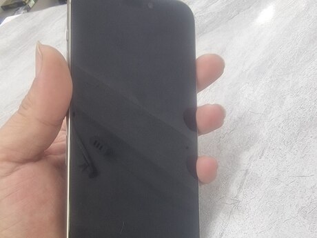 Apple iPhone 15 Pro Max Natural Titanium 256GB/8GB