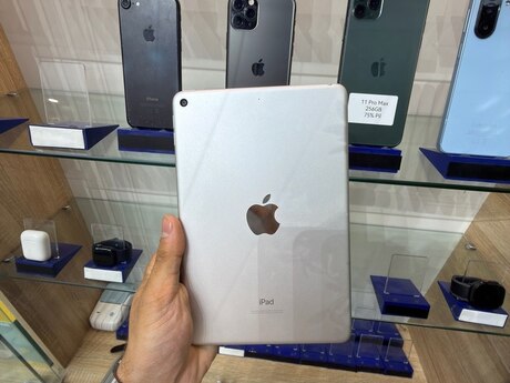 Apple iPad Mini 5 256GB Silver