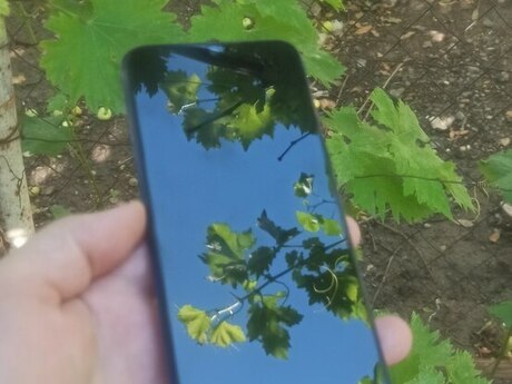 Xiaomi Redmi Note 8 Cosmic Purple 64GB/4GB