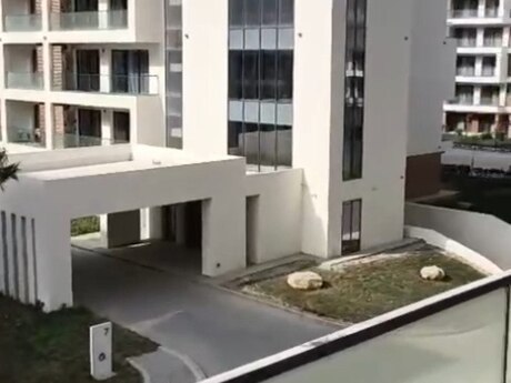 Nardaranda 2 otaqlı yeni tikili mənzil satılır, 97,8 m², 349 000 AZN, şəkil 2 / 6