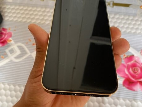 Apple iPhone 12 Pro Max Gold 128GB/6GB