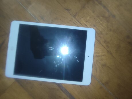 Apple iPad mini 