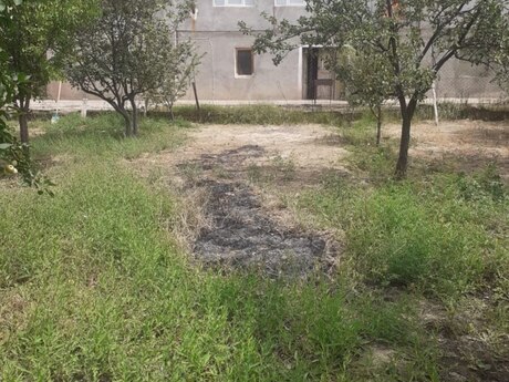 Həyət evi kirayə verilir, Naxçıvan ş.