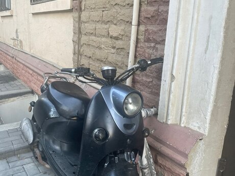 Moped, 2019 il Moped, 2019 il