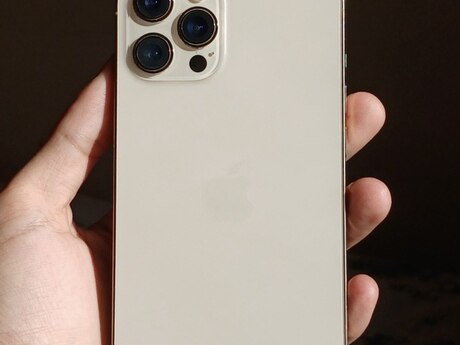 Apple iPhone 12 Pro Max Gold 256GB/6GB