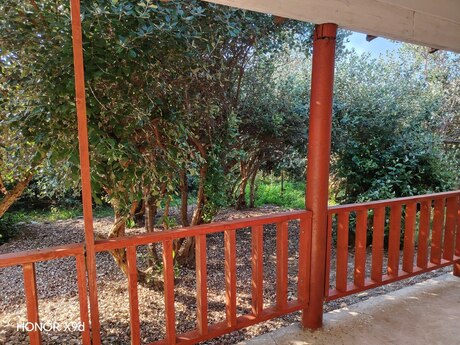 Bağ evi kirayə verilir, Lənkəran r., Qurumba kəndi Bağ evi kirayə verilir, Lənkəran r., Qurumba kəndi