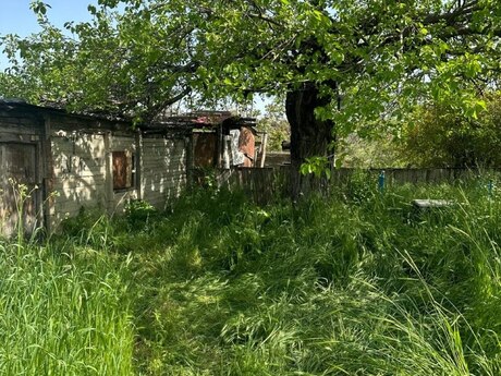 Bağ evi, Şamaxı r.