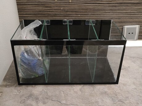 Betta balığı akvariumu