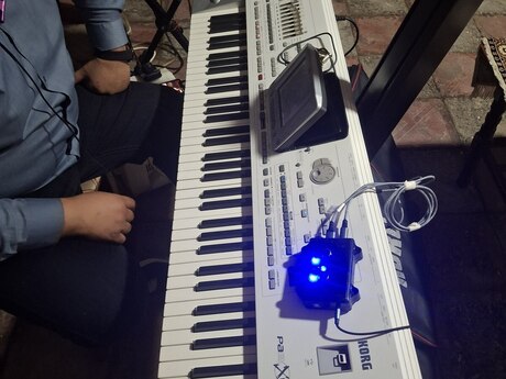 Sintezator Korg pa x2