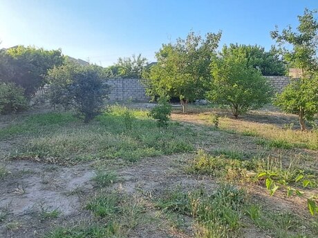 3 sot torpaq sahəsi, Buzovna qəs.