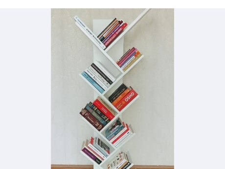 Kitab rəfi