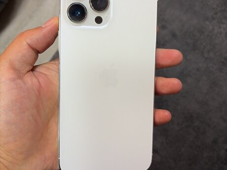 Apple iPhone 13 Pro Max Silver 256GB/6GB