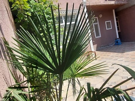Masazırda 5 otaqlı həyət evi satılır, 140 m², 89 000 AZN, şəkil 2 / 12