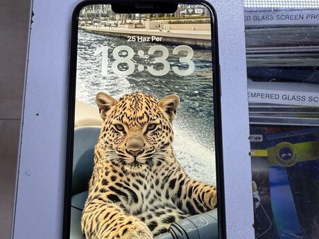 Apple iPhone 11 Pro Max Midnight Green 256GB/4GB