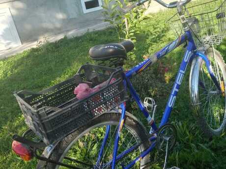 Velosiped Stels