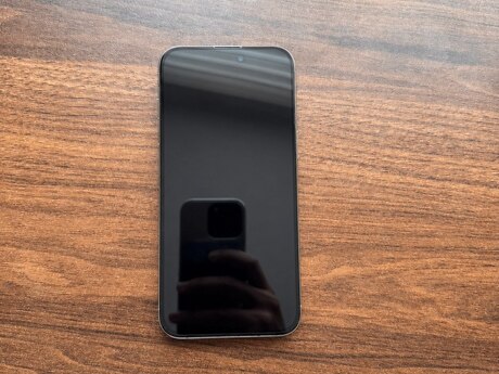 Apple iPhone 15 Pro Max Natural Titanium 256GB/8GB