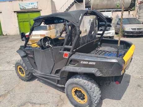 Buggy 2011 il
