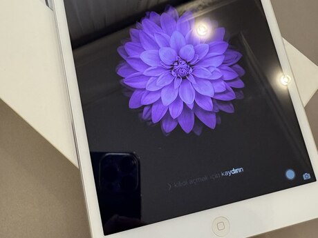 Apple iPad mini Cellular