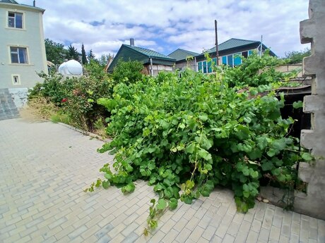 Masazırda 4 otaqlı həyət evi satılır, 170 m², 138 000 AZN, şəkil 4 / 12
