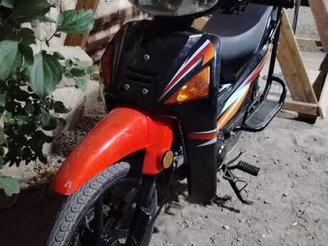 Moped, 2025 il