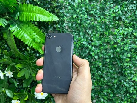 Apple iPhone 8 Space Gray 64GB