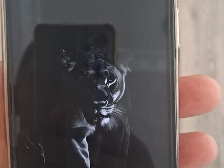 Samsung Galaxy A17 Black 128GB/6GB