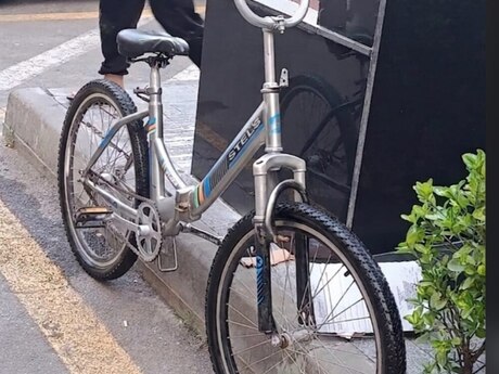 Velosiped Stels 24 