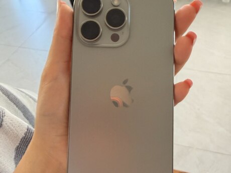 Apple iPhone 15 Pro Max Natural Titanium 256GB/8GB