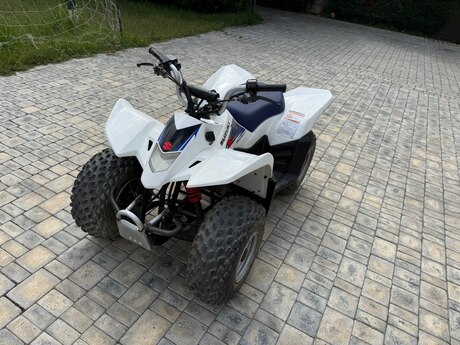 ATV Suzuki Z50, 2015 il