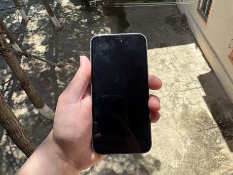 Apple iPhone 12 Pro Silver 256GB/6GB