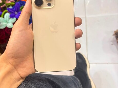 Apple iPhone 14 Pro Max Gold 256GB/6GB