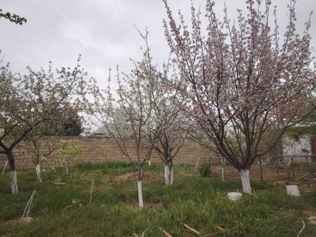 20 Yanvarda 4 otaqlı həyət evi satılır, 180 m², 287 000 AZN, şəkil 2 / 12