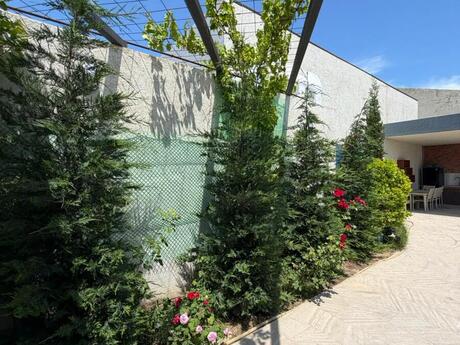 Şüvəlanda 4 otaqlı həyət evi satılır, 135 m², 229 000 AZN, şəkil 3 / 12