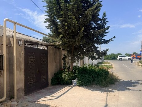 4 otaq · 115 m²
